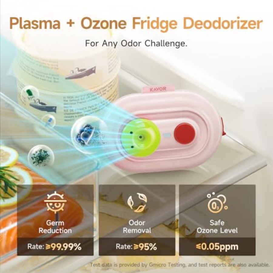 Plasma Fridge Deodorizer Ozone - مراجعة Odor Eliminator Car وسعره